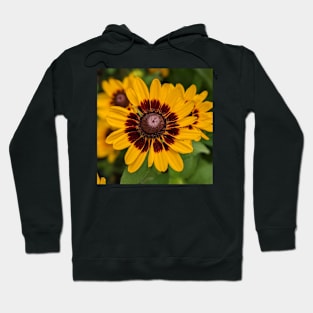 Yellow and Brown Flower Photographic Image Hoodie